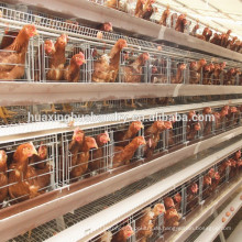 Schicht Hühnerkäfig für Geflügel Bauernhof / Huhn Zucht Käfig / Industrie Huhn Haus für Hühnerkäfig